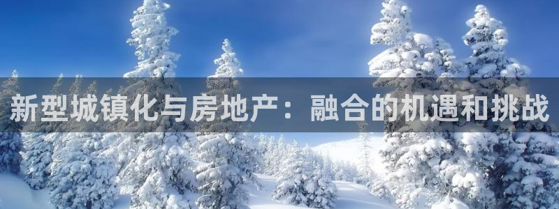 新宝5的网址：新型城镇化与房地产：融合的机遇和挑战