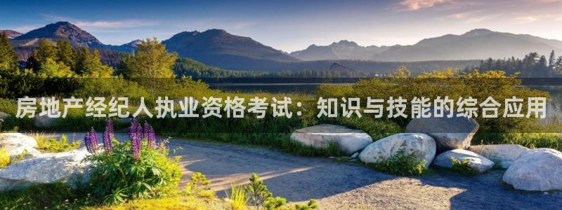新宝5源码：房地产经纪人执业资格考试：知识与技能的综合应用