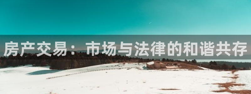 新宝5总代：房产交易：市场与法律的和谐共存