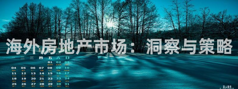 新宝5官方网站：海外房地产市场：洞察与策略