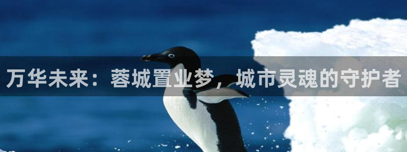 新宝5链接：万华未来：蓉城置业梦，城市灵魂的守护者
