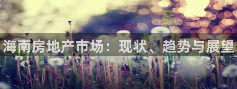新宝5平台咋样：海南房地产市场：现状、趋势与展望