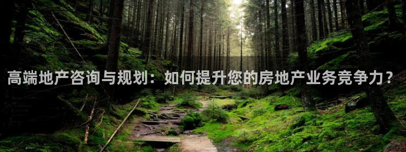 新宝5手机登录：高端地产咨询与规划：如何提升您的房地产业务竞