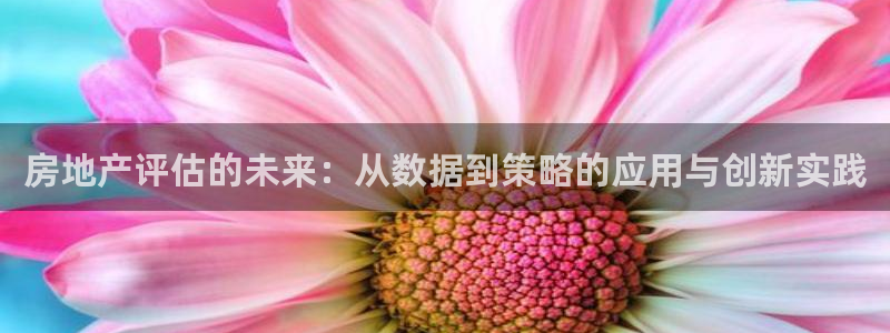 新宝5娱乐登陆：房地产评估的未来：从数据到策略的应用与创新实