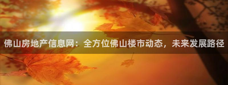 p5r新宝魔：佛山房地产信息网：全方位佛山楼市动态，未来发展