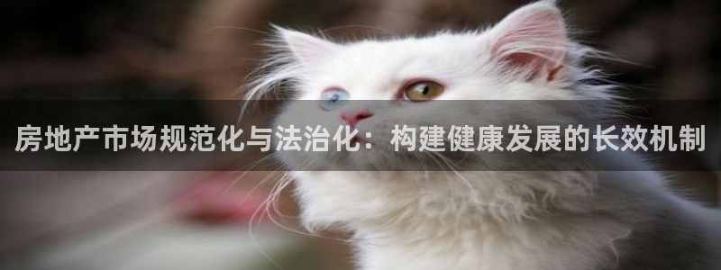 新宝5是谁的：房地产市场规范化与法治化：构建健康发展的长效机