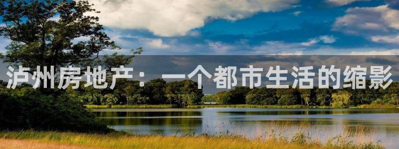 新宝5登录入口网址：泸州房地产：一个都市生活的缩影