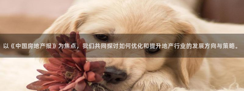新宝5官网app：以《中国房地产报》为焦点，我们共同探讨如何