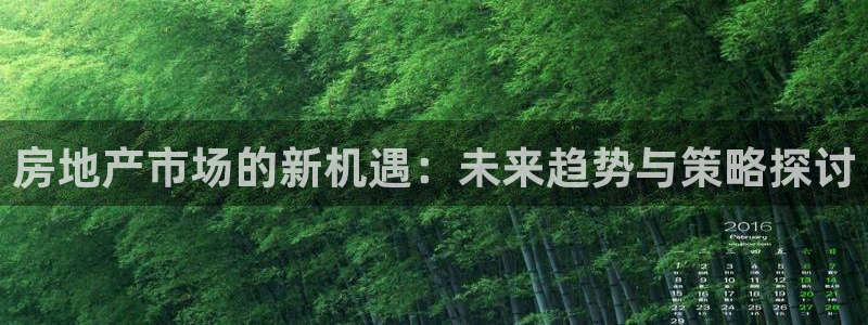 新宝5吕74OOO5：房地产市场的新机遇：未来趋势与策略探讨