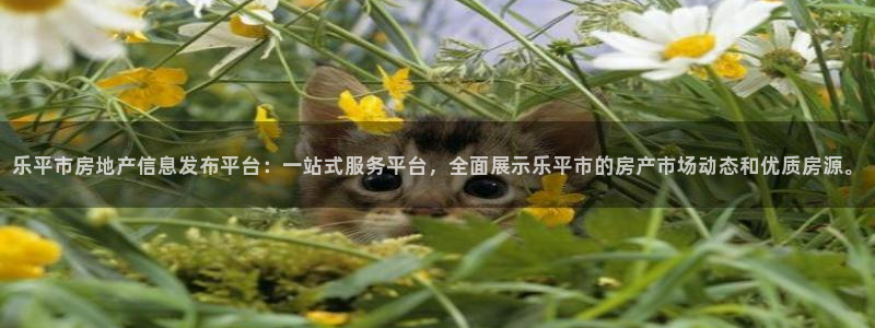 新宝5现在还能玩吗：乐平市房地产信息发布平台：一站式服务平台