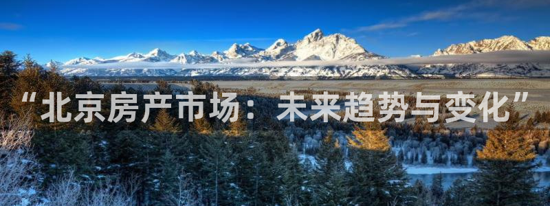 新宝5娱乐多：“北京房产市场：未来趋势与变化”