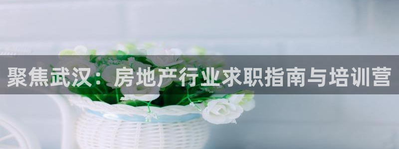 新宝5网站：聚焦武汉：房地产行业求职指南与培训营