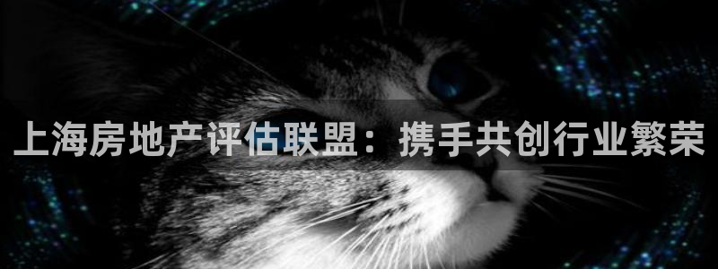 新宝3得74OO5：上海房地产评估联盟：携手共创行业繁荣