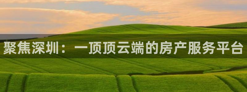 新宝5找找74OOO5：聚焦深圳：一顶顶云端的房产服务平台