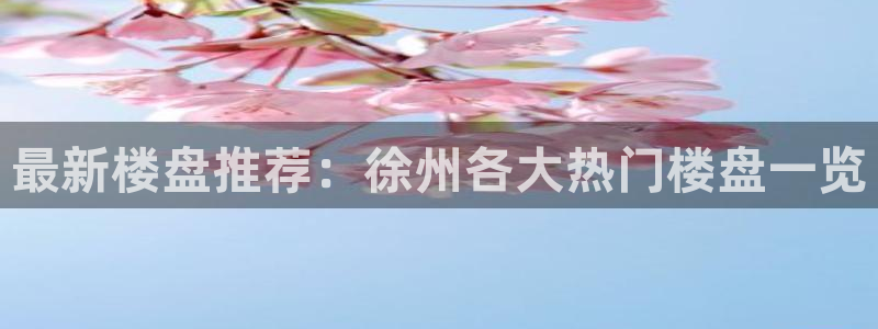 新宝5什么时候上市：最新楼盘推荐：徐州各大热门楼盘一览