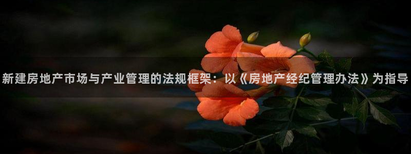 新宝娱乐5入口：新建房地产市场与产业管理的法规框架：以《房地