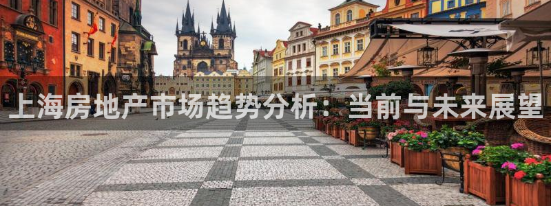 新宝5的网址：上海房地产市场趋势分析：当前与未来展望