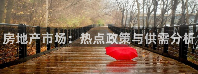 新宝5手机版：房地产市场：热点政策与供需分析