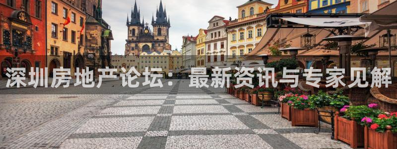 新宝5登录霸：深圳房地产论坛：最新资讯与专家见解