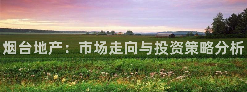 新宝5总代：烟台地产：市场走向与投资策略分析