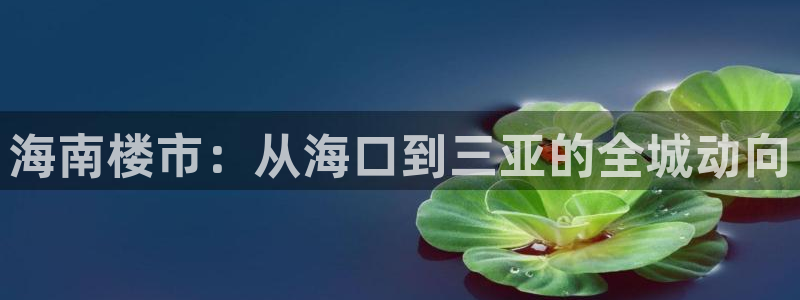新宝5源码：海南楼市：从海口到三亚的全城动向