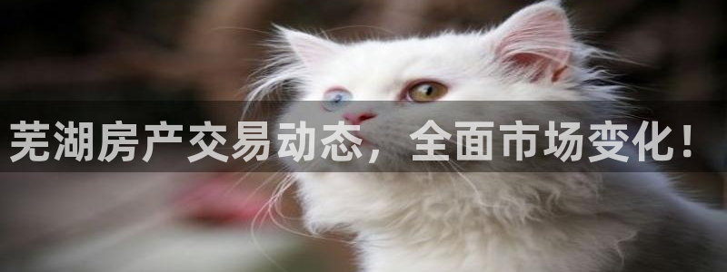 i新宝5：芜湖房产交易动态，全面市场变化！