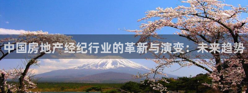 新宝j2O5O5O：中国房地产经纪行业的革新与演变：未来趋势