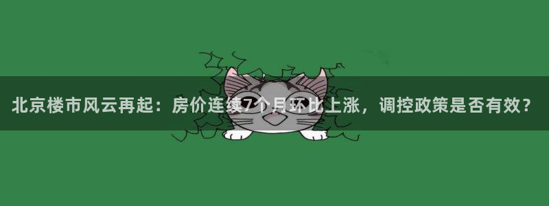 新宝5测登录：北京楼市风云再起：房价连续7个月环比上涨，调控