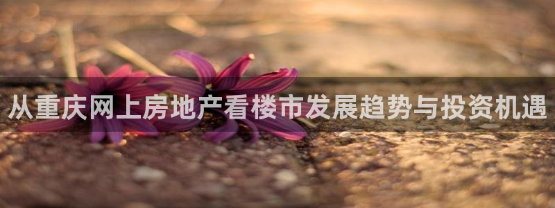 新宝5系列：从重庆网上房地产看楼市发展趋势与投资机遇