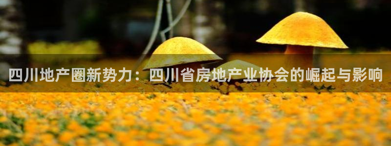 新宝5娱乐没：四川地产圈新势力：四川省房地产业协会的崛起与影