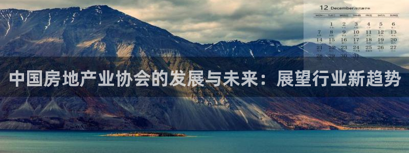 新宝5娱乐主管：中国房地产业协会的发展与未来：展望行业新趋势