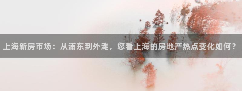 新宝5天：上海新房市场：从浦东到外滩，您看上海的房地产热点变