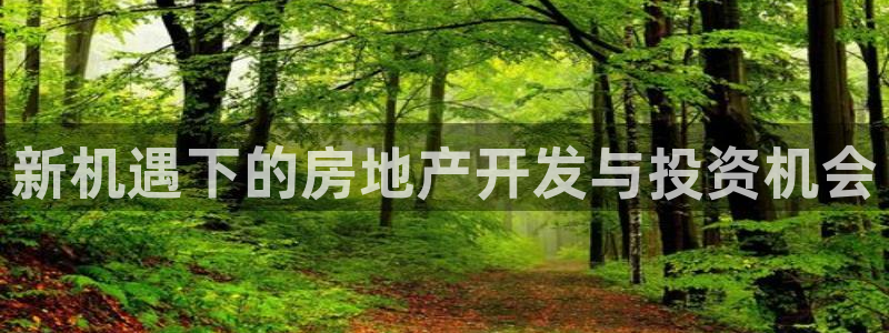 新宝5王问74OOO5：新机遇下的房地产开发与投资机会