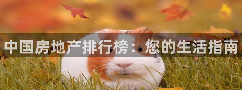 新宝5测登录：中国房地产排行榜：您的生活指南