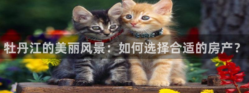 新宝5口67五壹叁八：牡丹江的美丽风景：如何选择合适的房产？