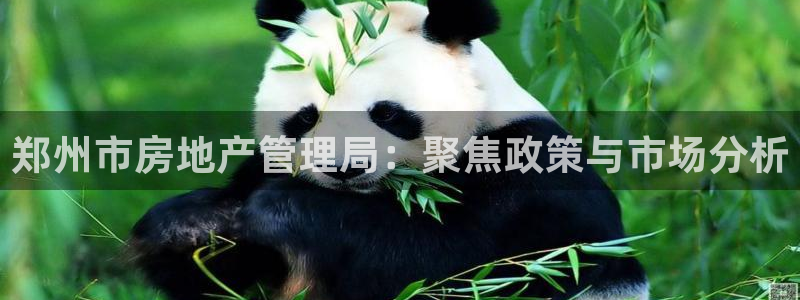 新5宝：郑州市房地产管理局：聚焦政策与市场分析