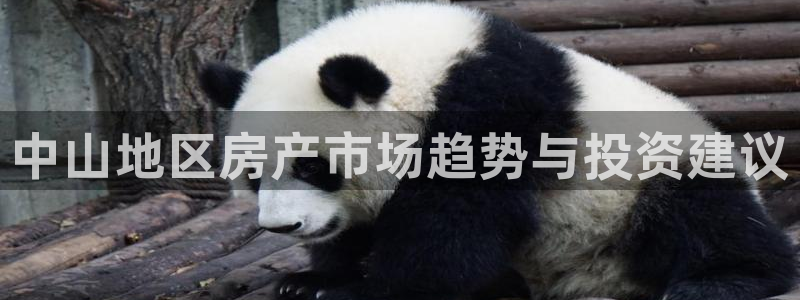 新宝5主管：中山地区房产市场趋势与投资建议