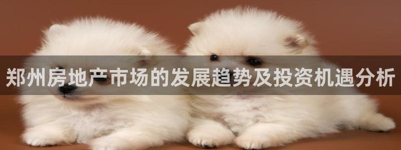 新宝5注册霸：郑州房地产市场的发展趋势及投资机遇分析