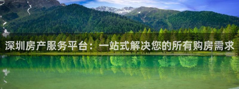 新宝5入口：深圳房产服务平台：一站式解决您的所有购房需求