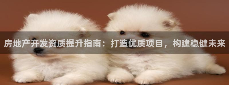 新宝5导师：房地产开发资质提升指南：打造优质项目，构建稳健未