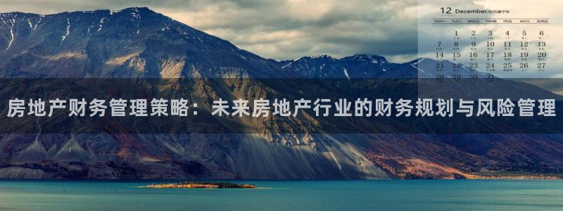 新宝5测速下载：房地产财务管理策略：未来房地产行业的财务规划