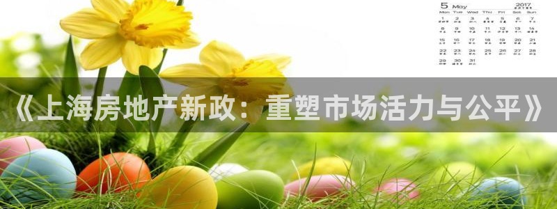 新宝5网址：《上海房地产新政：重塑市场活力与公平》