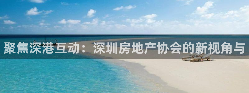 新宝5手机版：聚焦深港互动：深圳房地产协会的新视角与