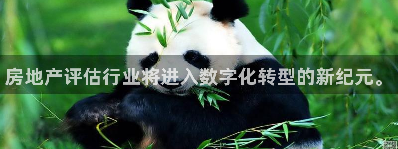 新宝5的网址：房地产评估行业将进入数字化转型的新纪元。