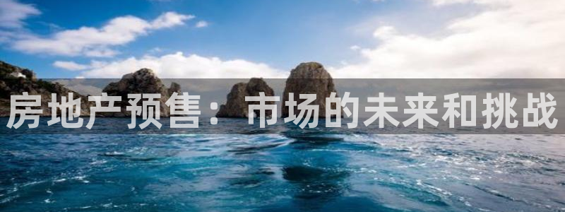 新宝5官网霸：房地产预售：市场的未来和挑战