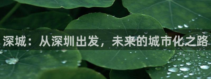 新宝_5：深城：从深圳出发，未来的城市化之路