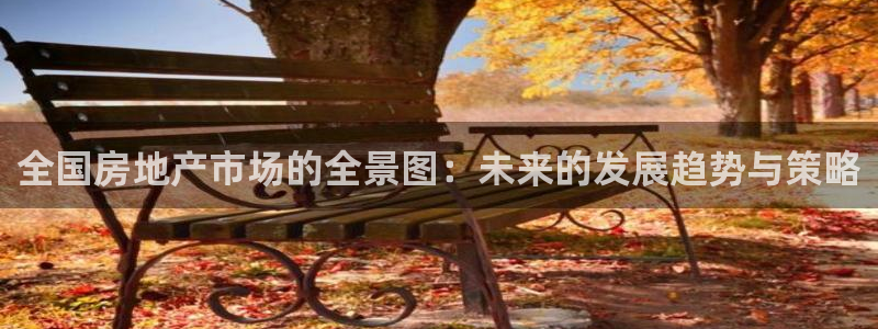 新宝5测速：全国房地产市场的全景图：未来的发展趋势与策略