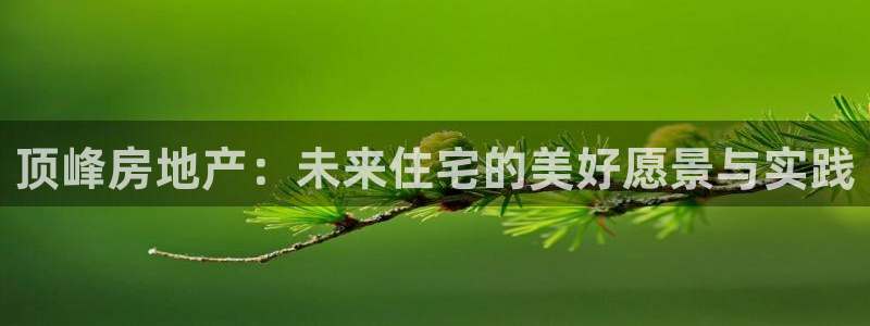 新宝5网：顶峰房地产：未来住宅的美好愿景与实践