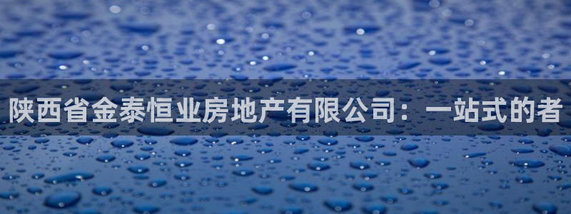 新宝5找找74OOO5：陕西省金泰恒业房地产有限公司：一站式