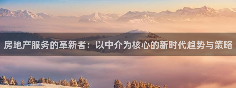 新宝5玩法：房地产服务的革新者：以中介为核心的新时代趋势与策